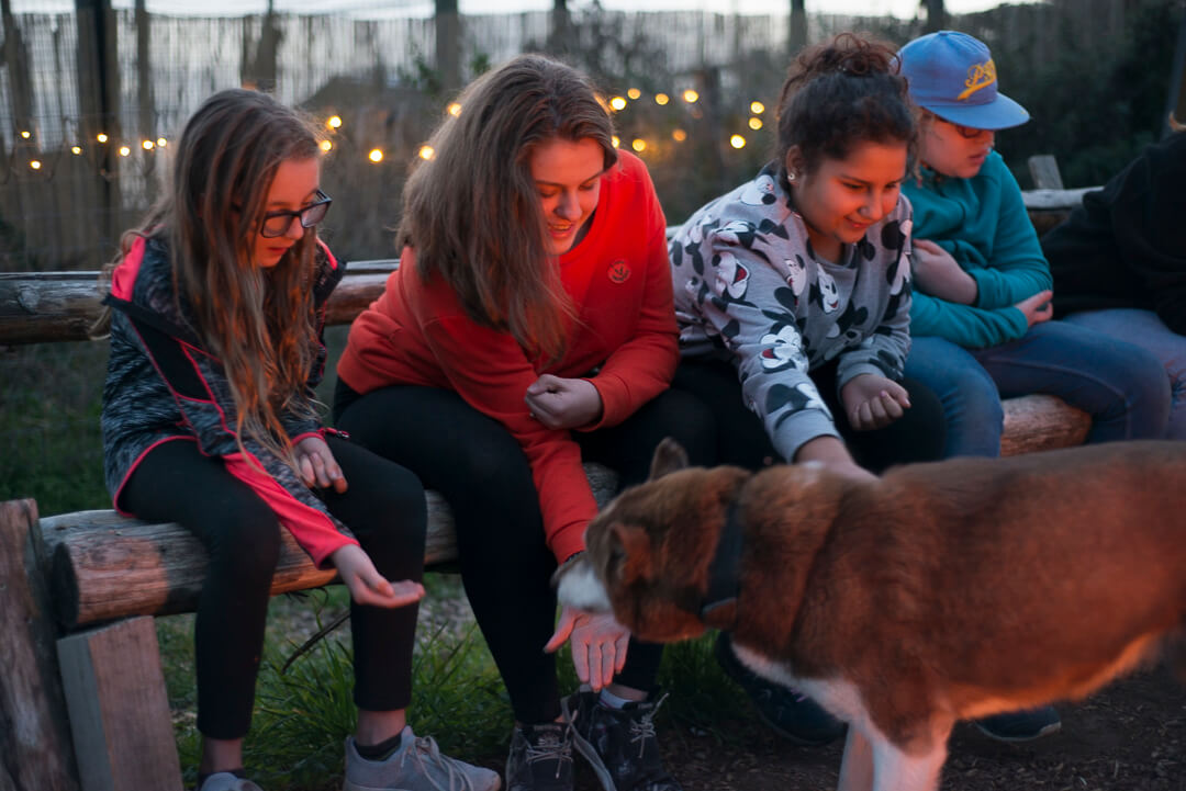 Husky Experience – Scouts/Explorers